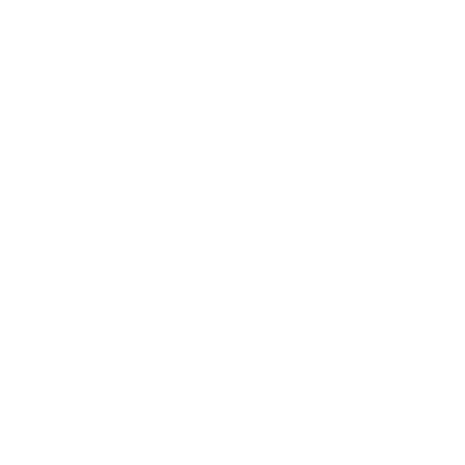 Aliya Adventure