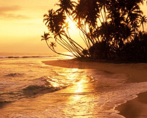 Aventura en Sri Lanka